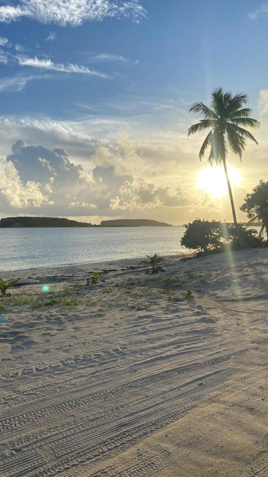 Apartament Casa Costa Sur Vieques Zewnętrze zdjęcie